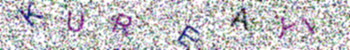 verification image